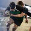 Rugby e spalla | Infortuni e riabilitazione | Centro Medico Magenta